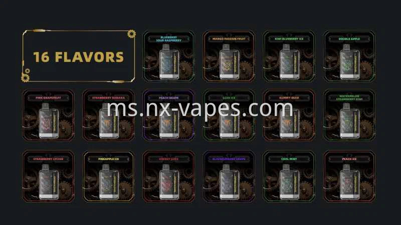 Maskking XTRO 10000 (2)